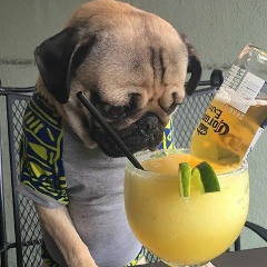 Владимир Матвиенко, Первомайск