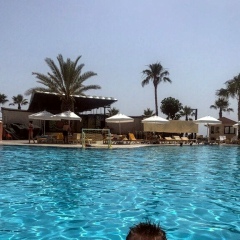 Матвей Видяев, 12.05.1991