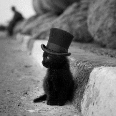 Альбина Чубурова, 04.08, Красногвардейское