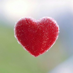 Mohyudin Patel, 25.03.1989, Ahmedabad