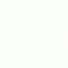 Даф Паф, 11.04.1989, Гродно