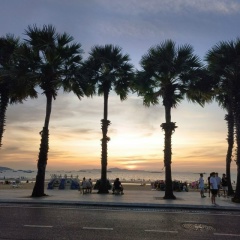 Аваз Гасымов, 28.06, Москва