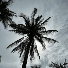 Александр Трусов