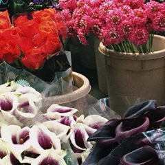 Tatka Ffff, 04.05, Тель-Авив