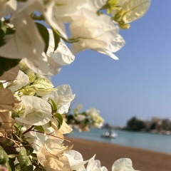 Анна Сияющая Душа, 17.09, Москва