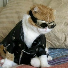 Николай Бируля, 08.03.1979, Москва