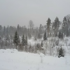 Олег Парамонов, Санкт-Петербург