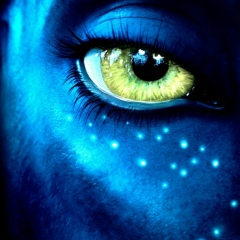 Маша Маша, Калининград