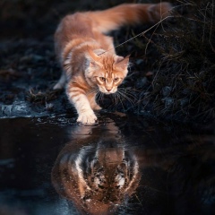 Ольга Лыткина, 06.08.1978, Псков