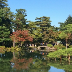 Алена Гафарова, Москва