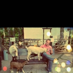 Mikha Sev, 01.09, Санкт-Петербург