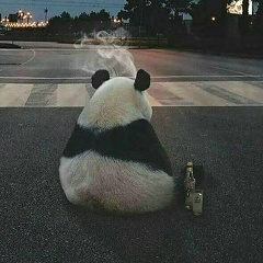 Владимир Хлебников, 24.09.1986, Волгоград