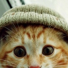 Георгий Ан, 28.11, Янгиюль