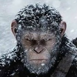 Магомед Кукуев, Berlin