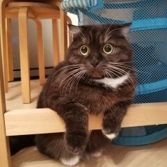 Станислав Зубковский, 14.03.1981, Санкт-Петербург