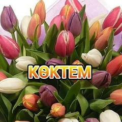 Клара Алимбекова