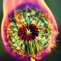 Евгений Жёлтый, 22.09, Москва