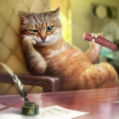 Азамат Азаматов, 20.05, Алматы