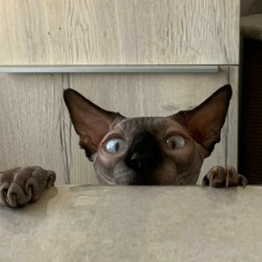 Эллада Архипкина, 11.08, Москва