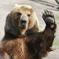 Александр Владимирович