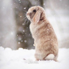 Гулбаршын Жаумитбаева, 09.11.1991, Бейнеу