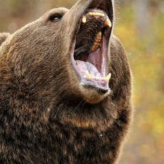 Женя Кфаров, 26.09.2005, Йошкар-Ола