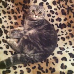 Яна Высоцкая, 11.06, Coventry