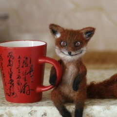 Eldar Zhdanov, Ноябрьск