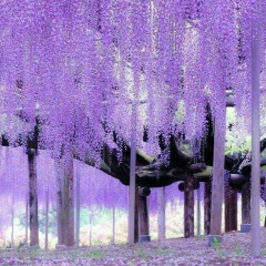 Лана Тен, 25.02, Бишкек