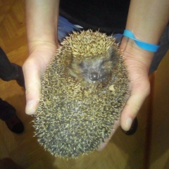 Алексей Булейко, 31.10.1984, Москва