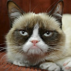 Олександр Фрадинський, 08.01