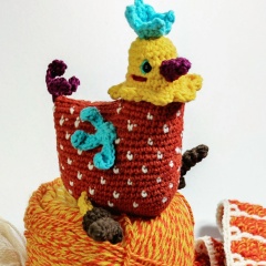 Vita Smidt, Nouakchott