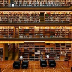 Эльмир Оруджов