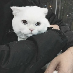 Vitalii Kit, 18.08, Львов