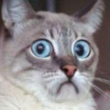 Юра Мокляк, 17.07, Костанай