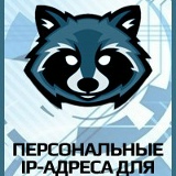 Никита Мания, Санкт-Петербург