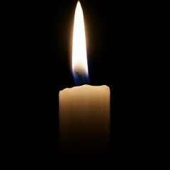 Максим Питбуль, 01.04, Санкт-Петербург