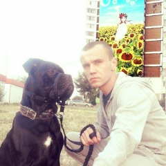 Иван Король, 25.06.1986, Киев