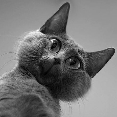 Александр Дудичев, 13.05, Иваново