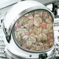 Алексей Мулин, 09.01, Москва