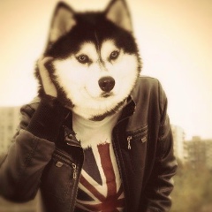 Qurban Muradov, 26.03.1998, Шамкир