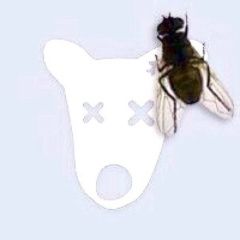 Амир Джабаров, 03.03.1993, Махачкала