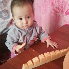 Serikbol Nasir, 19.08.1987, Алматы