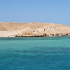 Антон Старичков, 19.01, Самара