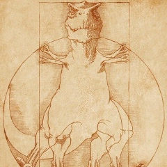 Леонид Кукушкин, 14.08, Всеволожск