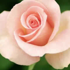 Айзада Болотбек, 27.04.1991, Токмок