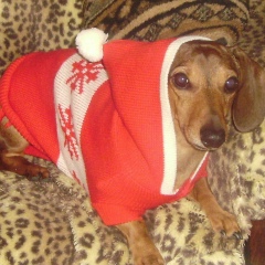 Nixe Lti, 16.03, Москва