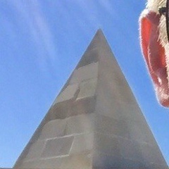 Alex Rau, 23.11.1986