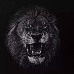 Timur Farzaliev, 18.02, Санкт-Петербург