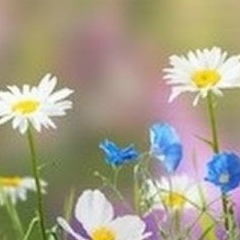 Юлия Ж, 09.07, Санкт-Петербург